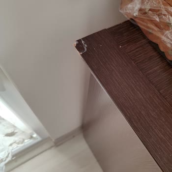 Arzum Nakliyat İle Taşınma Kabusu: Kayıp Eşyalar Ve Sigorta Sorunu