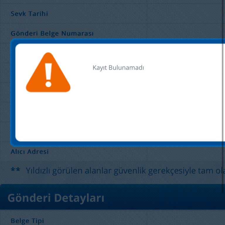 Kayıp Ayakkabı: Siparişimin Akıbeti Belirsiz