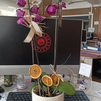 Çiçek Sepeti'nde Yanıltıcı Sipariş Ve İlgisiz Müşteri Hizmetleri