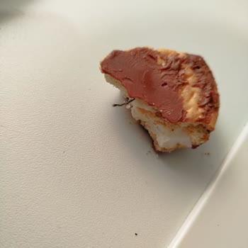 BİM'den Alınan Bisküvide Yabancı Cisim Şoku