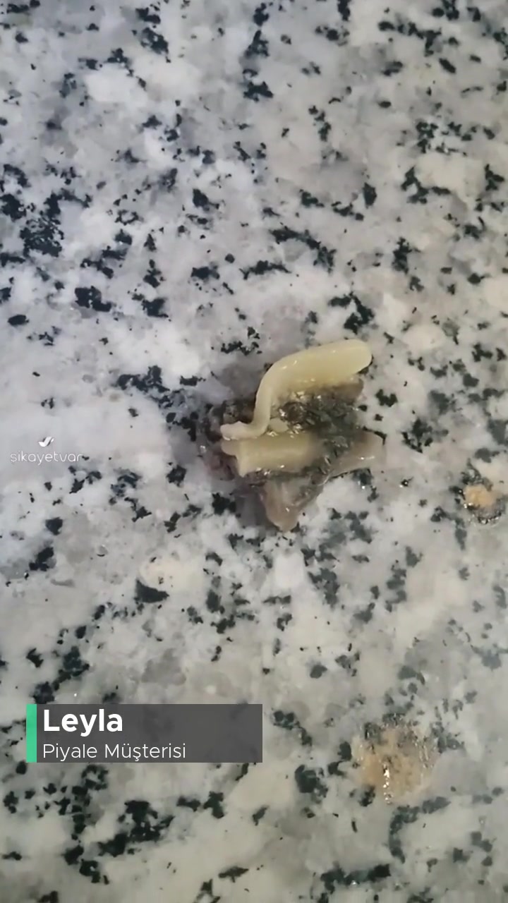 Piyale Makarna İçinde Küflü Bir Madde! videonun kapak resmi