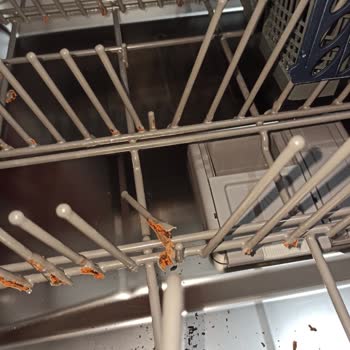 Samsung Bulaşık Makinesi: Kalite Ve Dayanıklılık Sorunları