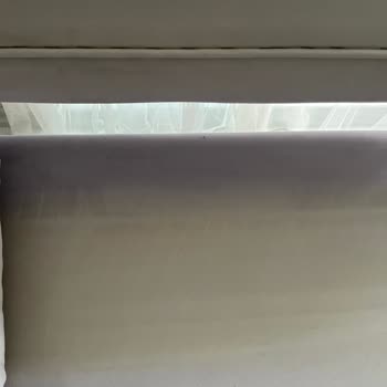 Yeni Evlilere Kabus: Tüylü Ve Yanlış Renkli Koltuklar