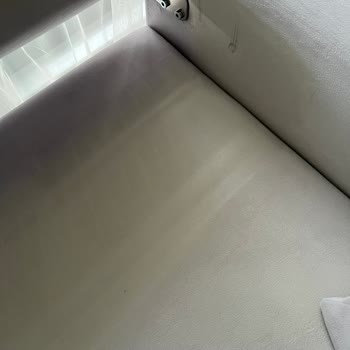 Yeni Evlilere Kabus: Tüylü Ve Yanlış Renkli Koltuklar