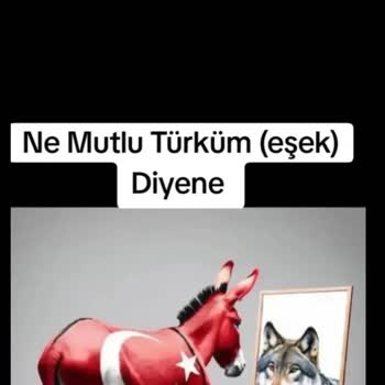 A******'e Yönelik Hakaret İçerikli Videolar