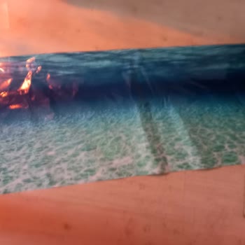 Kanki Petshop Kalitesiz Ürün Gönderdi