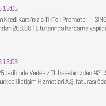 TikTok Tanıtım Onayı Ve İade Sorunu
