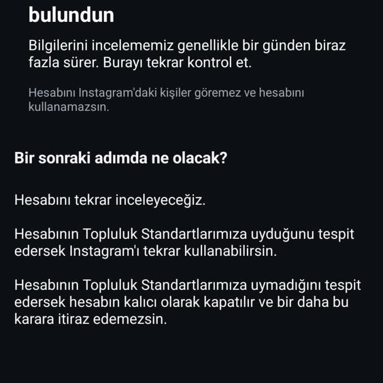 Instagram Hesap İncelemesi Sorunu