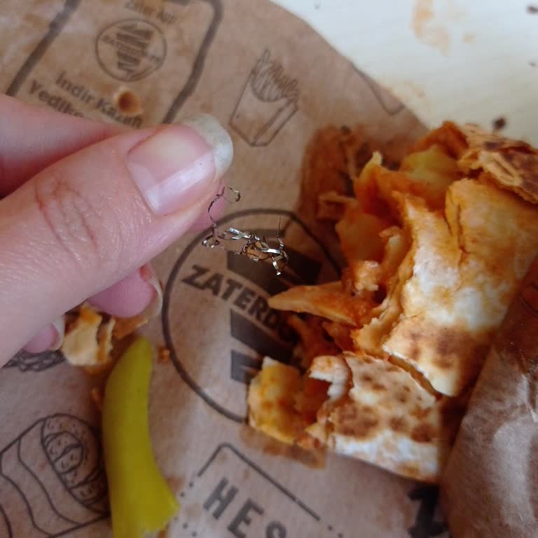 Dönerde Bulaşık Teli Şoku!