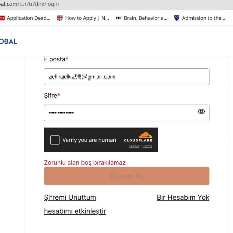 VFS Global Web Sitesi Hatalarıyla Mücadele