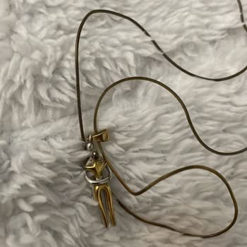 Gümüş Kolye Karardı, Firma Suçladı