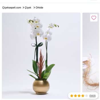 Özensiz Orkide Teslimatıyla Mahcubiyet Yaşadım