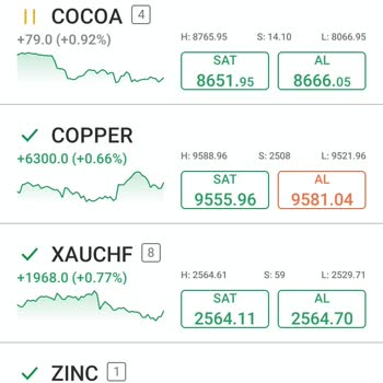 World İnvest Market İle Yaşanan Finansal Mağduriyet