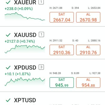 World İnvest Market İle Yaşanan Finansal Mağduriyet