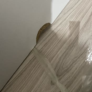 Çetmen Mobilya'da Teslimat Ve Ürün Kalitesi Sorunu