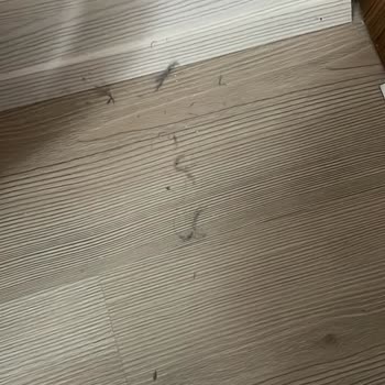 Temizlik Hizmeti Eksik Ve Yetersiz