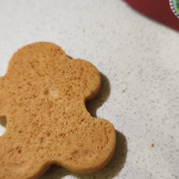 Organik Kurabiye Ürününde Hijyen Sorunu