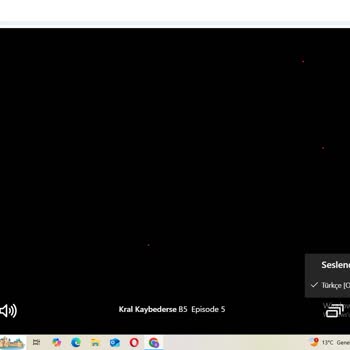 Netflix'te Eksik Altyazı Sorunu: İşitme Engelliler İçin Erişilebilirlik Eksikliği