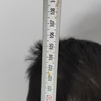 Ay Tasarım (Aytasarim81) Saygısız Satıcı!