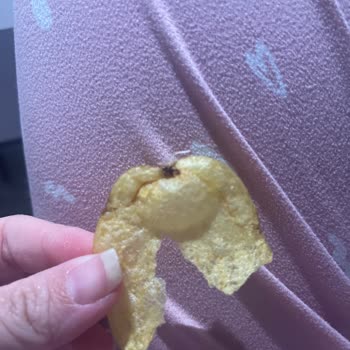 Cips Paketinde Böcek Şoku!