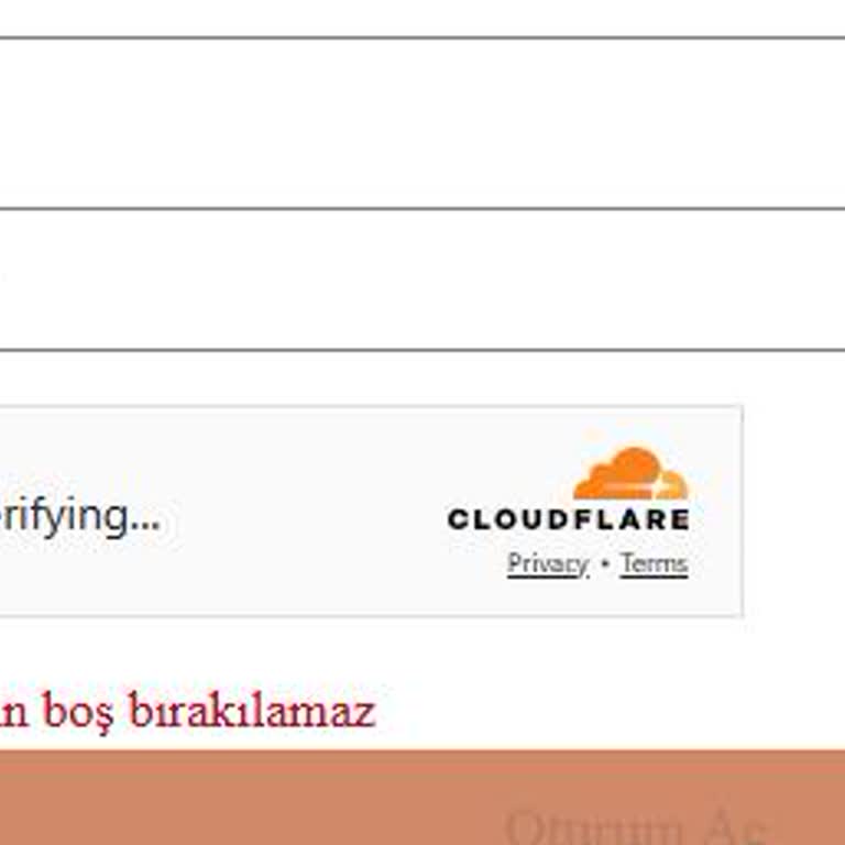 VFS Global Hollanda: Siteye Giriş Ve Randevu Alım Sorunları