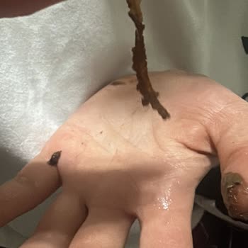 Ülker Fındık Rüyası'nda Beklenmedik Yabancı Madde Şoku