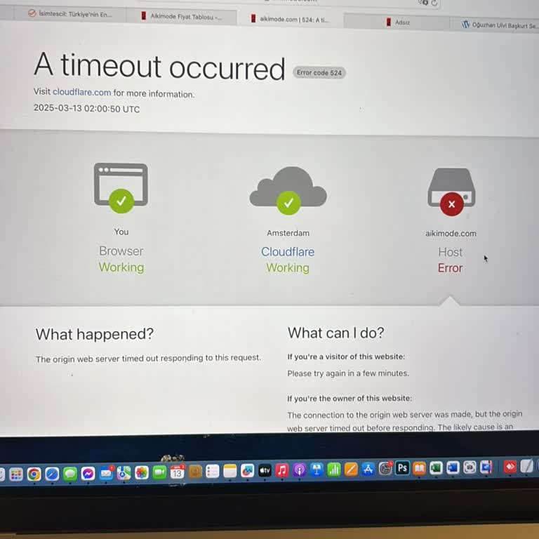 isimtescil.net Sürekli Çöken Sunucular ve İlgisiz Destek