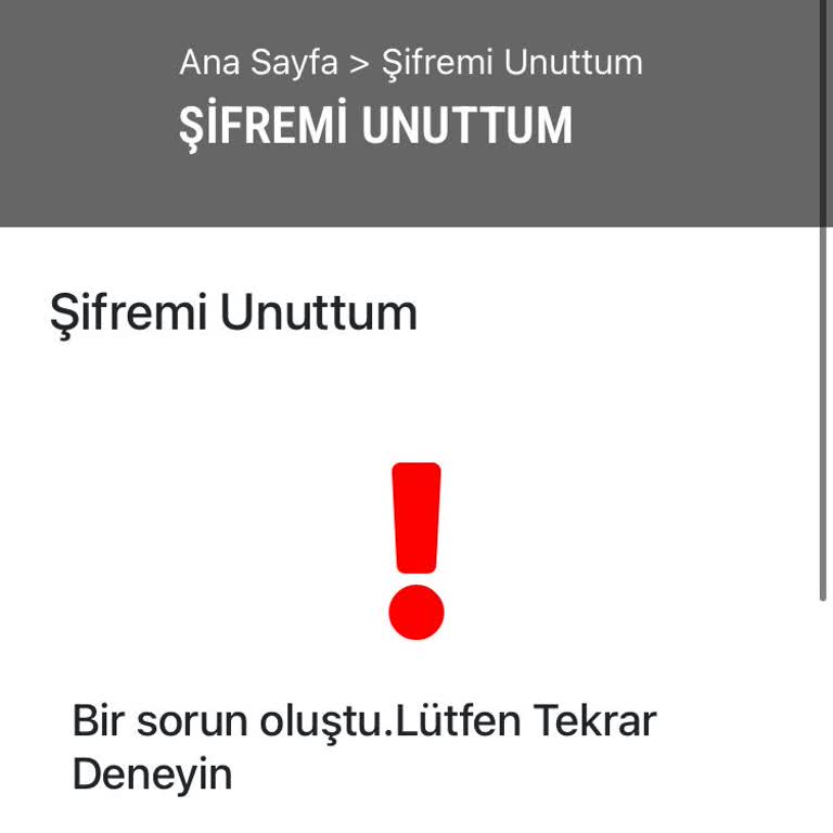 Üyelik Girişi Ve Şifre Yenilemede Sürekli Sorunlar