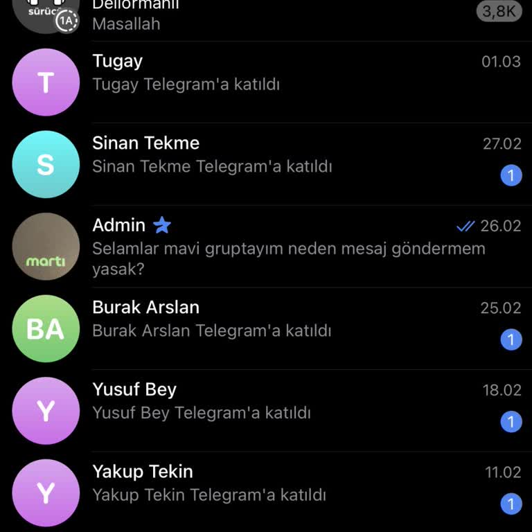 Telegram Grubu Nedeniyle Askıya Alınan Hesabımın Açılmasını İstiyorum