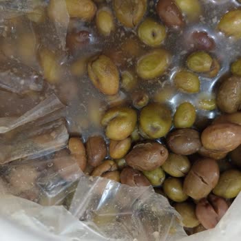 Derikzeytuni Görsellerle Alakası Olmayan Ürün Gönderildi!