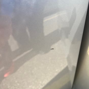 Sıfır Araçta Çizik Ve Çözüm Sürecinde Belirsizlik