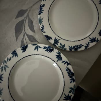 Porselen Sanılan Yemek Takımının Hayal Kırıklığı