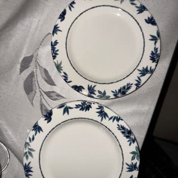 Porselen Sanılan Yemek Takımının Hayal Kırıklığı