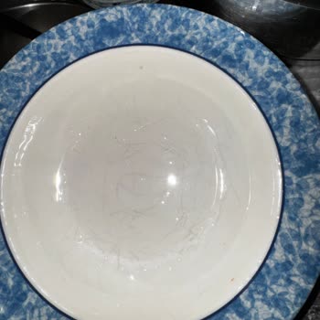 Porselen Sanılan Yemek Takımının Hayal Kırıklığı