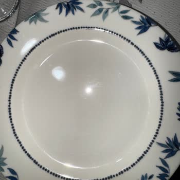 Porselen Sanılan Yemek Takımının Hayal Kırıklığı