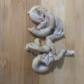 Lezita Tavuk Ürünlerinde Hijyen Sorunu