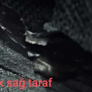 Skechers Ayakkabılarımın Dikişleri Ve Astarları Paramparça Oldu