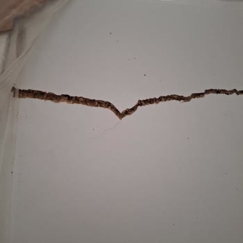 Teslimat Sonrası Hasarlı Ürün Ve Müşteri Hizmetleri Sorunu