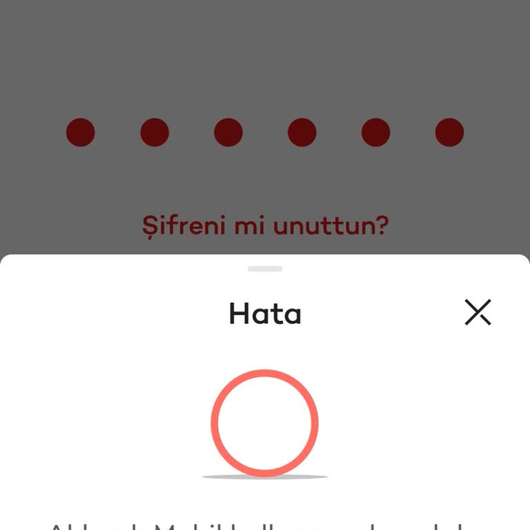 Akbank'ın Güvenlik Kısıtlamalarıyla Yaşanan Sorun
