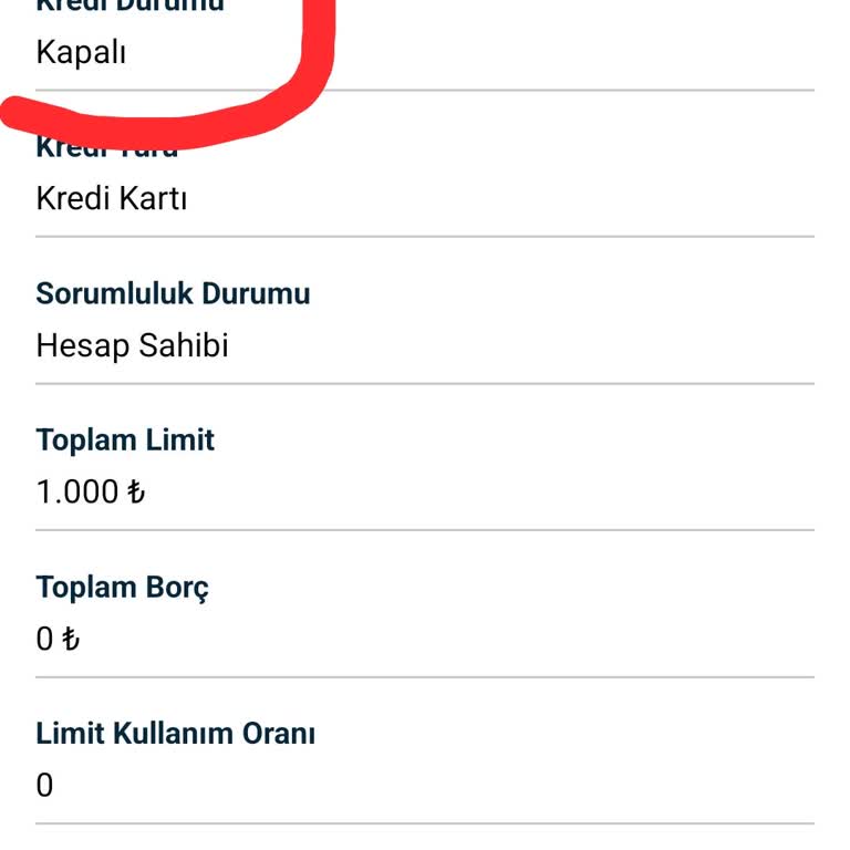 HSBC Kredi Kartı Borcu Yüzünden Kredi Puanı Mağduriyeti