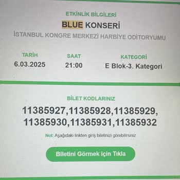 Konser Organizasyonunda Güvenlik Ve Düzen Sorunları