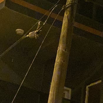 İnternet Kesintisi: Türk Telekom'un İhmaline Tepki