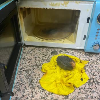 Vestel Mikrodalga Fırın Hayal Kırıklığı