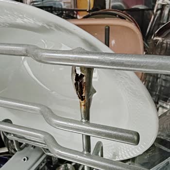 Samsung Bulaşık Makinesi Sepetlerinde Paslanma Sorunu