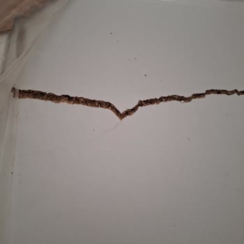 Kırık Bulaşık Makinesi Ve Garanti Sorunu