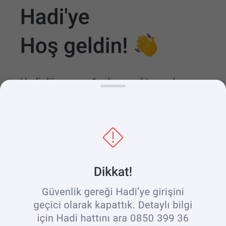 Hesap Erişim Sorunu Ve Destek Hattı Yetersizliği