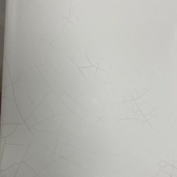 Cerastyle Ürün Kalitesi Ve Müşteri Hizmetleri Hayal Kırıklığı