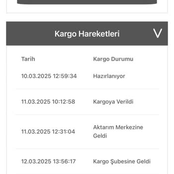 Kargo Sorunlarıyla Başımız Dertte