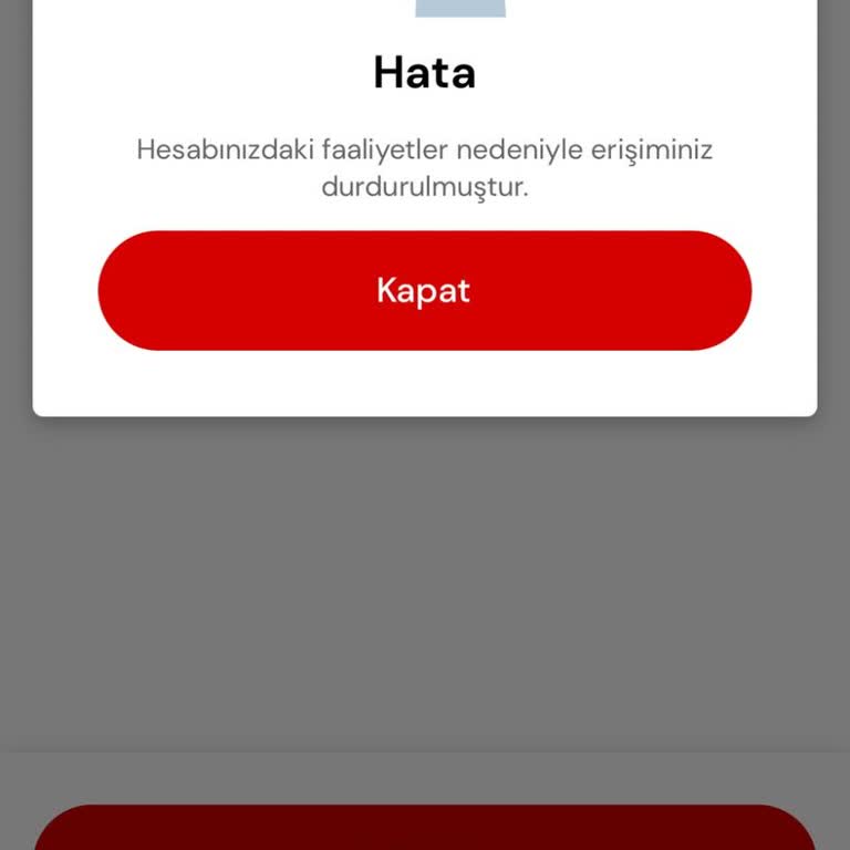 Passolig Uygulamasında Bilet Alım Sorunu Ve Belirsizlik