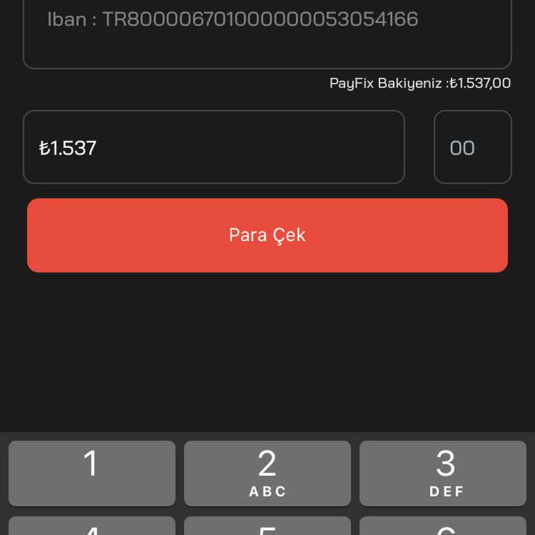 Payfix Para Çekim Sorunu: Hesaplar Bloklandı Mı?